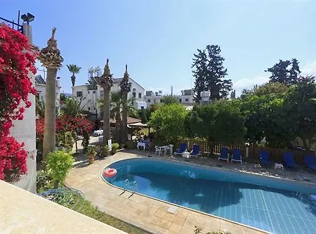 Follow The Sun Polis